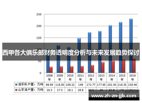 西甲各大俱乐部财务透明度分析与未来发展趋势探讨 西甲各大俱乐部财务透明度分析与未来发展趋势探讨