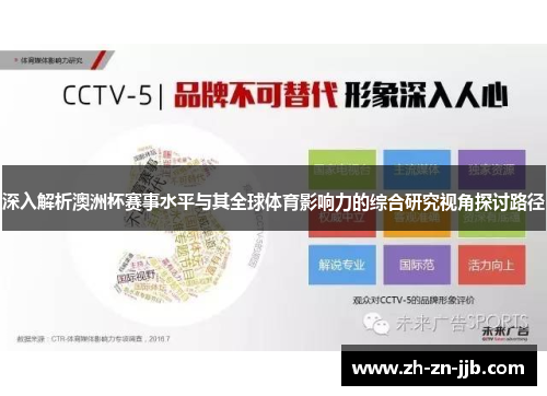 深入解析澳洲杯赛事水平与其全球体育影响力的综合研究视角探讨路径