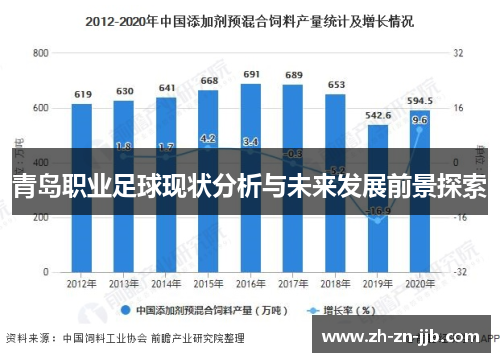 青岛职业足球现状分析与未来发展前景探索 青岛职业足球现状分析与未来发展前景探索